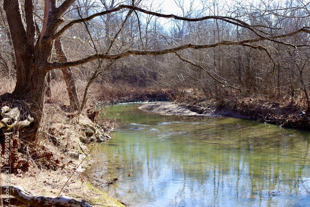 The calm brook in the woods on a sunny winter day. The calm brook in the woods on a sunny winter day.