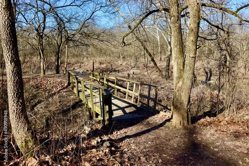 The old wood bridge on the trail I the forest.