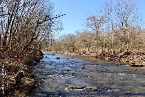 The flowing creek in the forest on a sunny day.