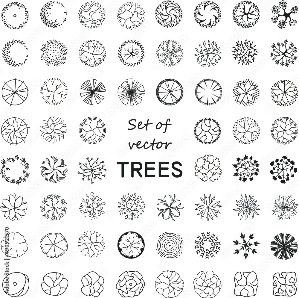 Trees for the master plan. Tree for architectural floor plans. Entourage design. Various trees, bushes, and shrubs, top view for the landscape design plan. Vector illustration. Trees for the master plan. Tree for architectural floor plans. Entourage design. Various trees, bushes, and shrubs, top view for the landscape design plan. Vector illustration.