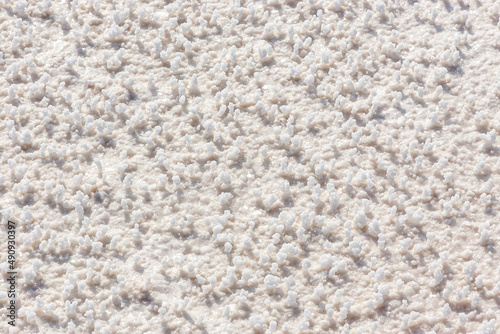 White Gold at Lac Asal the Salt lake in Djibouti