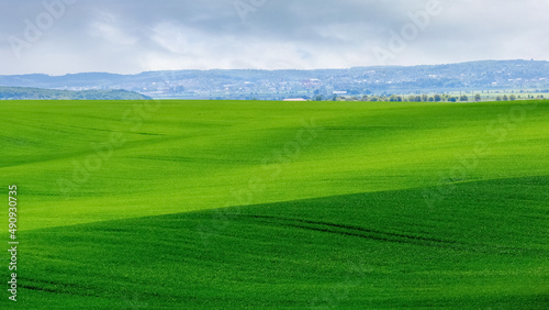 Rural landscape with a green field unevenly lit by the sun