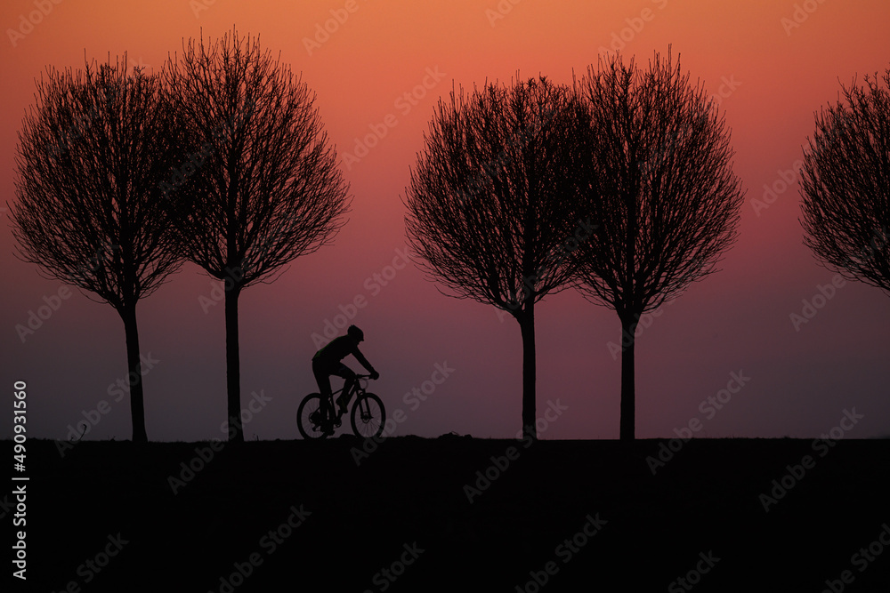 cyclist rides along the road with trees just after sunset, the sky is colored red-purple started photographic blue hour