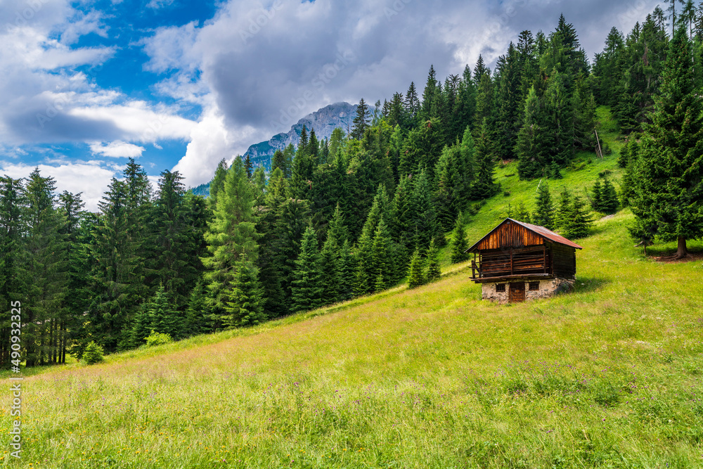 Sappada. Know the woods, the mountains and the villages. Dolomites.