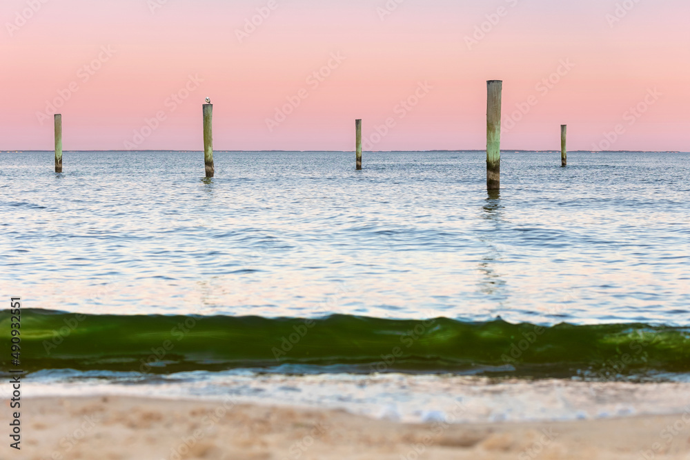 seagull atop pilings at sunset with blue and pink sky and water