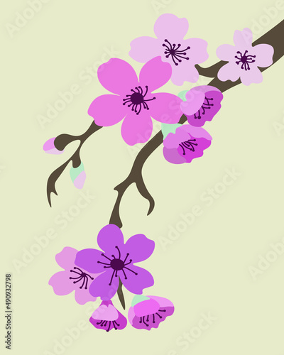 Branch with sakura blossoms on a yellow background.