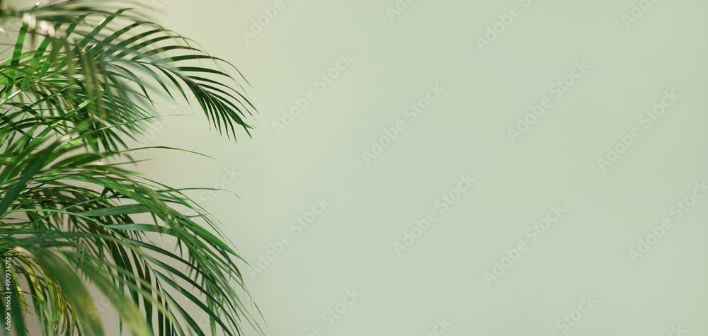 Close-up of palm leaf with solid light green background. Empty space for copy or product promotion. Natural green banner. Close-up of palm leaf with solid light green background. Empty space for copy or product promotion. Natural green banner.