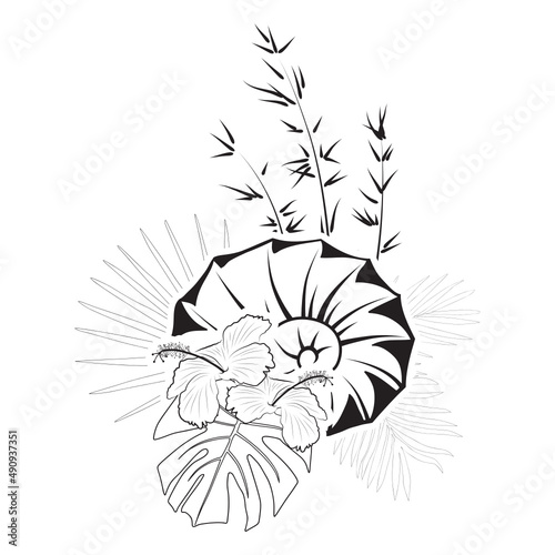 nautilus shell and palm leaves