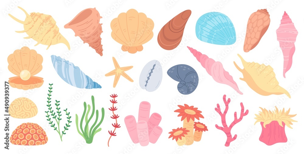 Seashells, corals and seaweed, marine life. Clam, kelp, coral, seashell, starfish, sea and ocean underwater elements vector set Seashells, corals and seaweed, marine life. Clam, kelp, coral, seashell, starfish, sea and ocean underwater elements vector set
