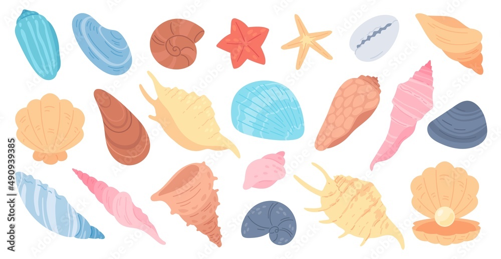 Seashells and starfish, marine life, clams, ocean elements. Cartoon sea shell, clam, scallop, conch, mollusk, exotic element vector set Seashells and starfish, marine life, clams, ocean elements. Cartoon sea shell, clam, scallop, conch, mollusk, exotic element vector set