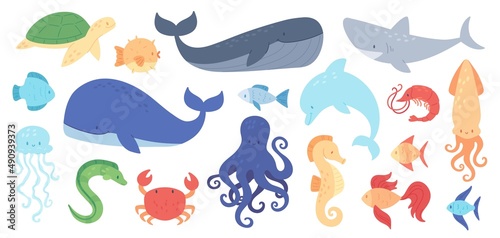 Cute sea animals, aquatic underwater creatures, marine life. Starfish, octopus, seahorse, shark, turtle, dolphin, whale, ocean animal vector set