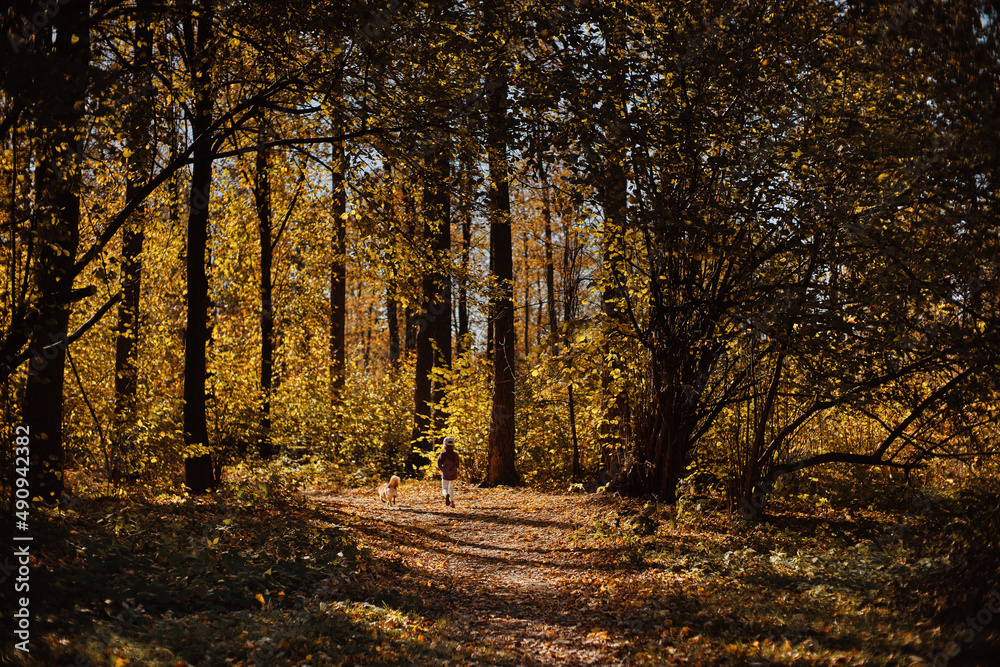 Obraz premium autumn