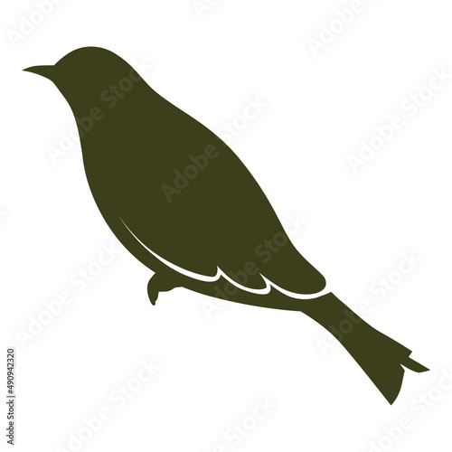 illustration of a bird
