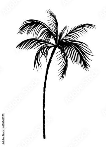 Palm object black. Vector illustration
