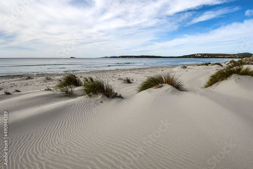 una immensa spiaggia di dune bianche a Porto Pino in Sardegna photo