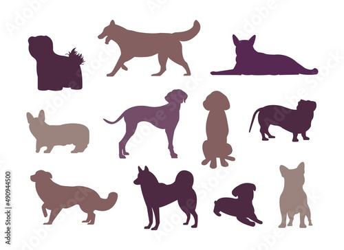 A set of silhouettes of different dog breeds in poses. Corgi, Jack Russell Terrier, Dalmatian, dachshund, pug and husky vector set. Jack russell terrier, golden retriever, cocker spaniel