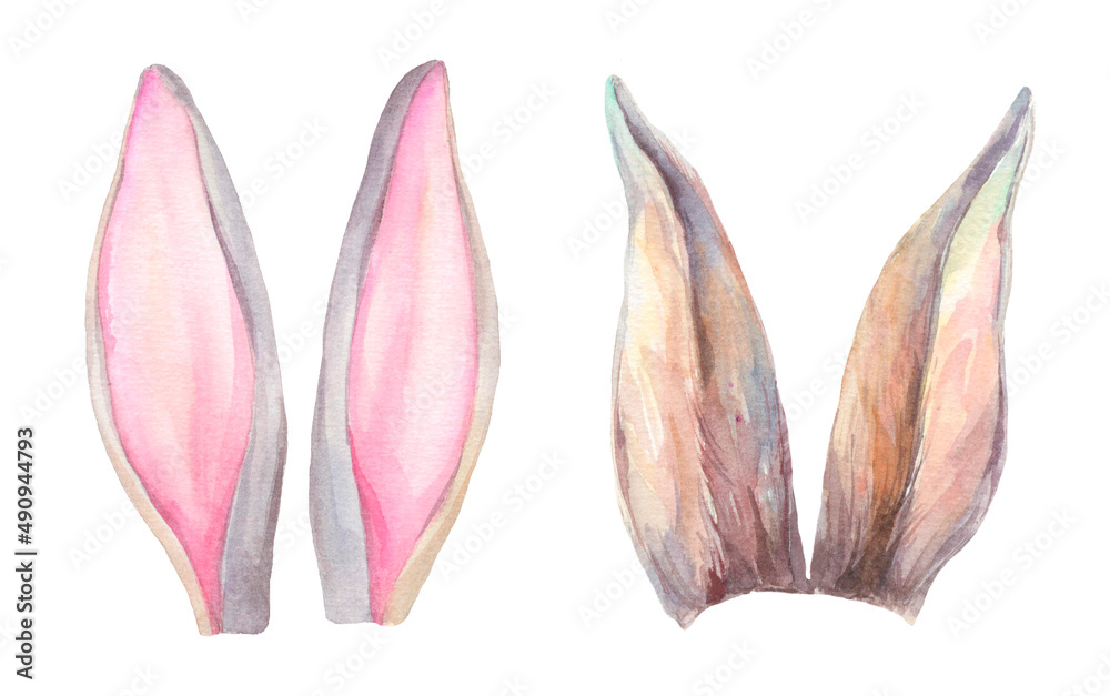 Watercolor Easter bunny ears. Hand painted cartoon rabbit ears. Stock ...