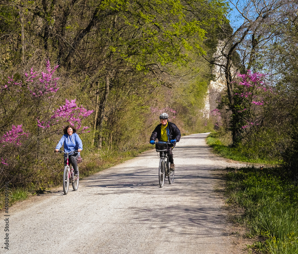 Senior man and mature woman bicycling on Midwestern trail in spring; blooming redbud trees on both sides; river bluffs on one side