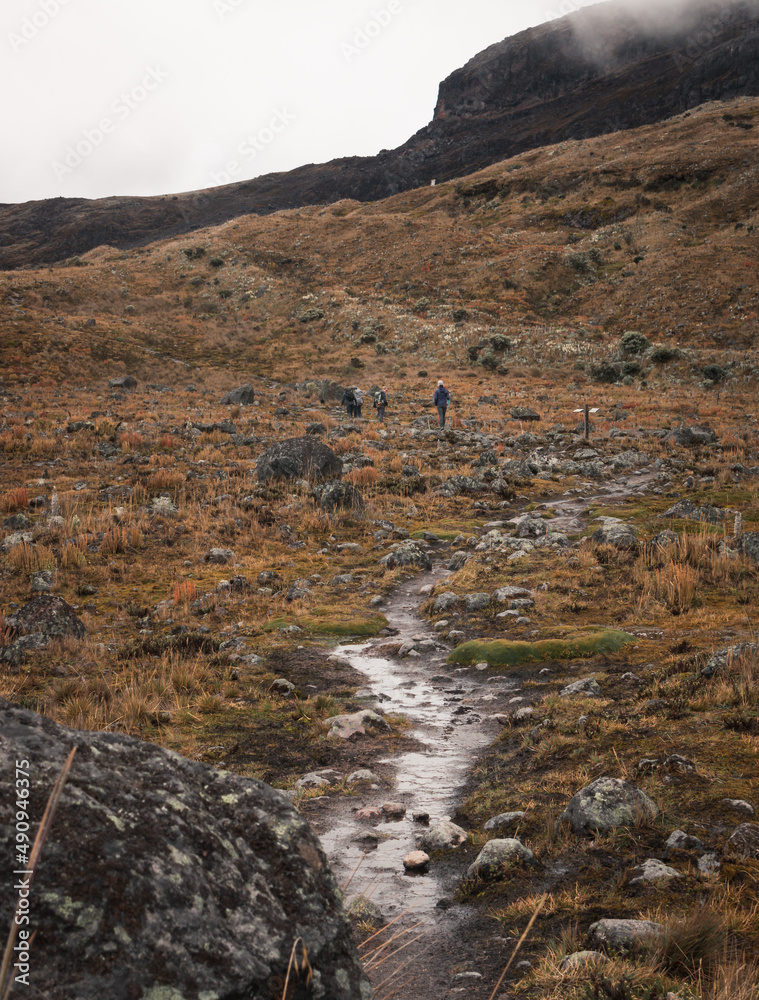 Three people hiking on trail in immense alpine ecosystem called paramo