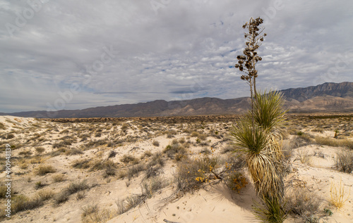 Guadalupe Mountain National Park