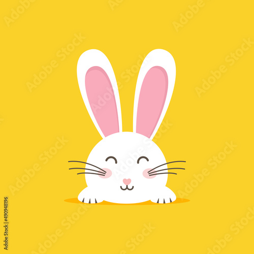 Easter rabbit, easter Bunny. Vector illustration.
