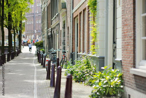 Porch of a house decorated with flowers and green plants in a typical Amsterdam street, Holland, Netherlands