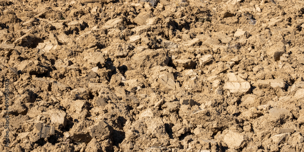 Moved land in fallow barley cultivation fields Moved land in fallow barley cultivation fields