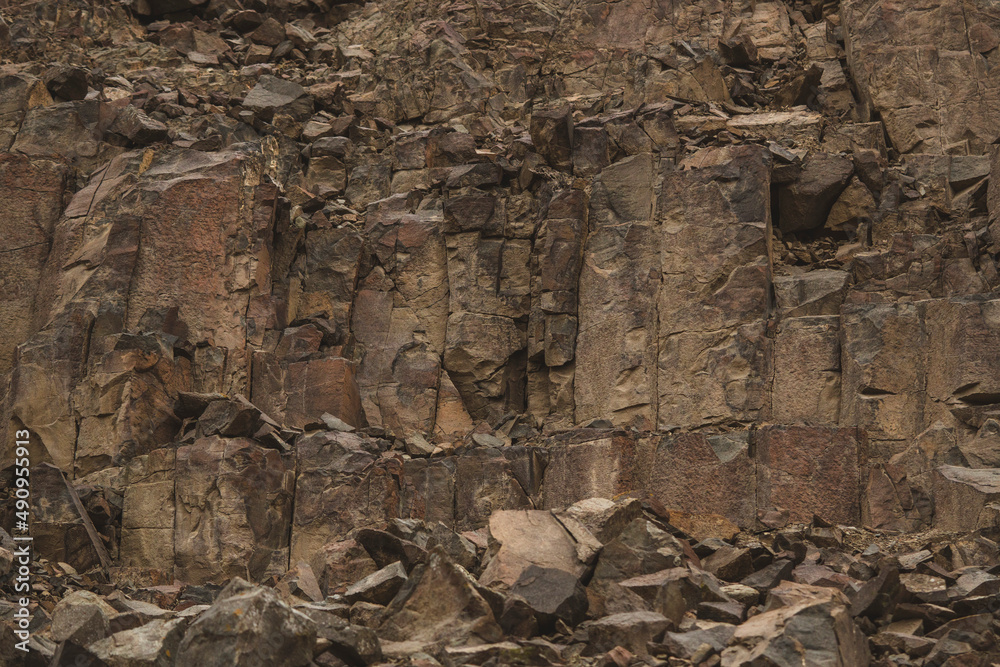 Obraz premium bark texture