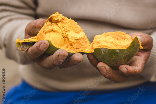man holding a lucuma with his hands