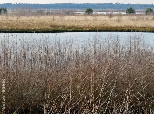 Himmelmoor bei Quickborn