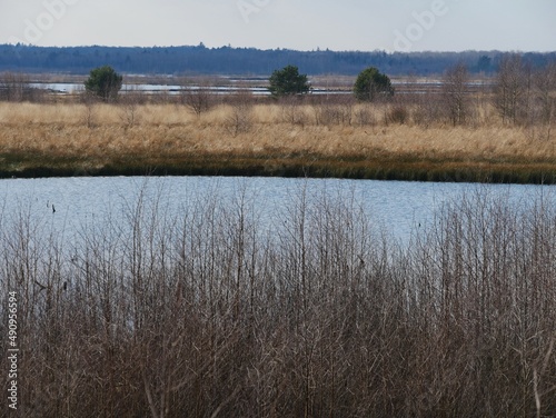 Wasser im Himmelmoor