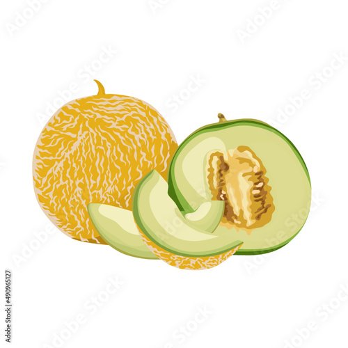 melon or honeydew 