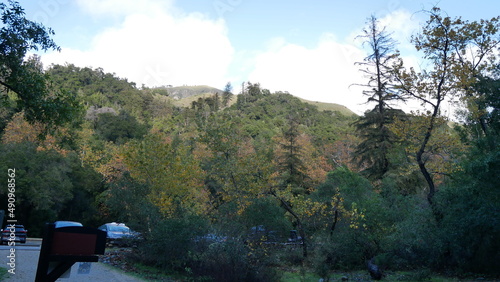 Big Sur, California