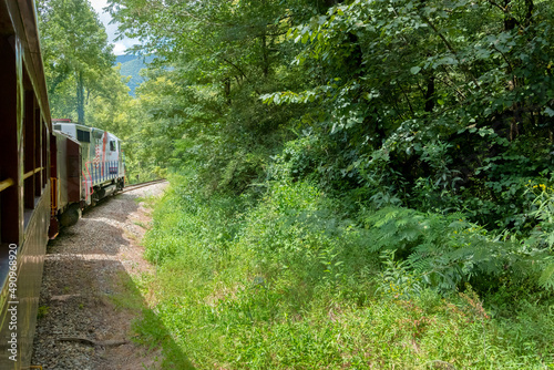 Train on the Great Smoky Mountain Railroad, North Carolina