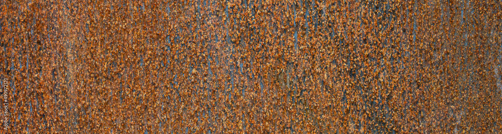 Flat sheet of iron with pattern and texture in orange rust from extensive oxidation, as an abstract background
Flat sheet of iron with pattern and texture in orange rust from extensive oxidation, as an abstract background