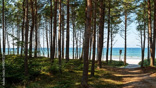 Lubiatowo wyjście z lasu na plażę © Marcin