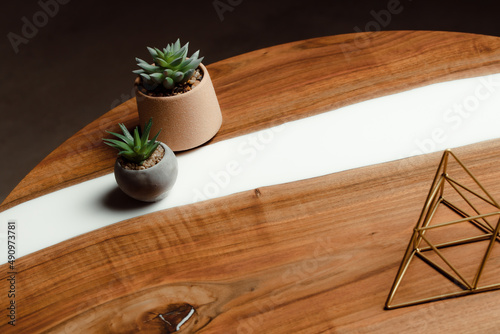 Expensive vintage furniture. The table is covered with epoxy resin and varnished. Luxury quality wood processing. Wooden table on a dark background. Home desktop cacti in concrete pots.