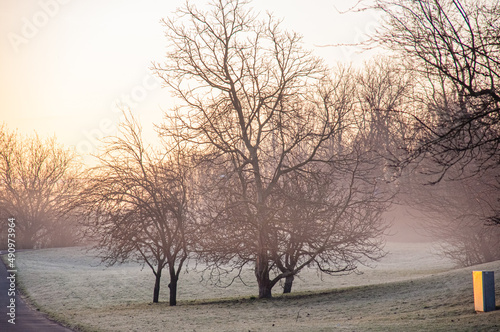 Foggy landscape in winter morning photo