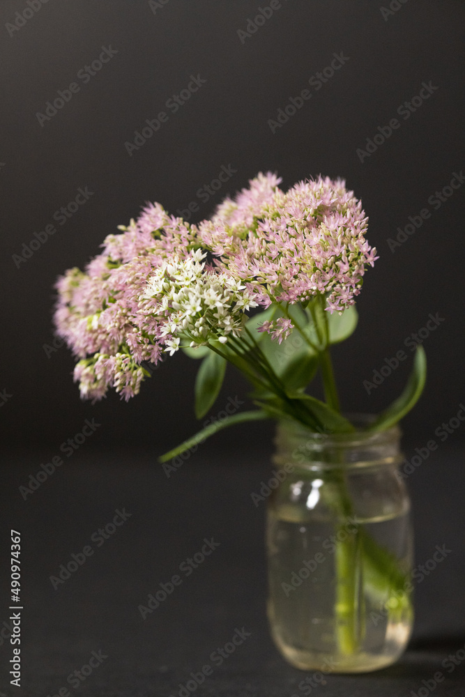 Bouquet of sedum in a vase Bouquet of sedum in a vase