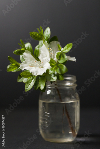 Fototapeta Naklejka Na Ścianę i Meble -  two flowers in a glass vase