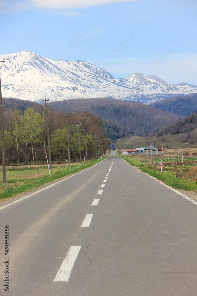 Naklejka premium 初夏の田舎の道と残雪の山 