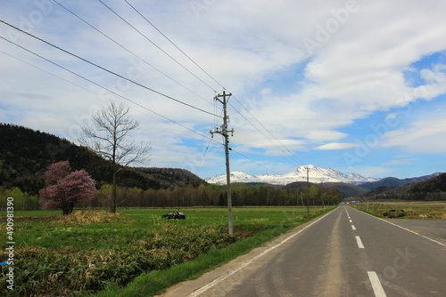 初夏の田舎の道と残雪の山  © まり子 佐藤