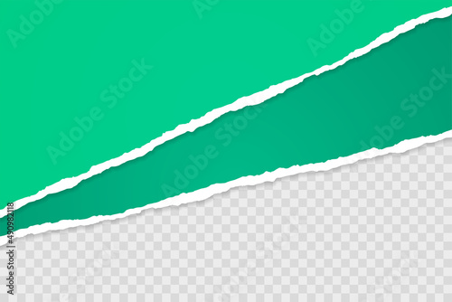 ripped green torn papers on transparent background