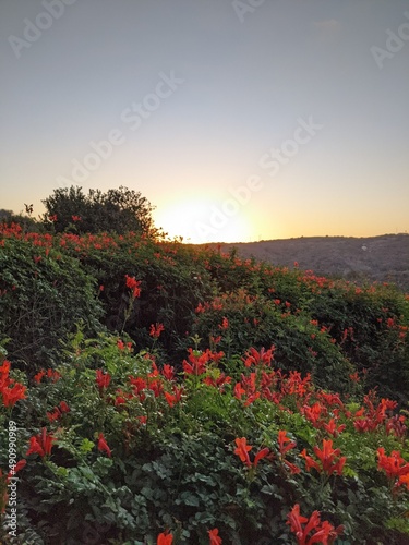 sunset in the mountains