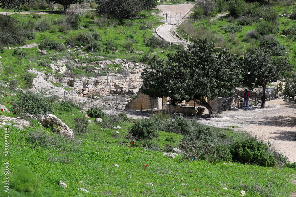 Beit Guvrin National Park. Israel.
Ruins of an ancient dwelling.