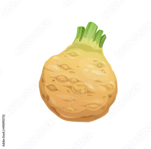 Raw isolated celery root vegetable of farm fresh food. Cartoon vector tuber of celeriac or knob celery plant with green stalk shoots and brown root ball, vegetarian food and organic veggies design