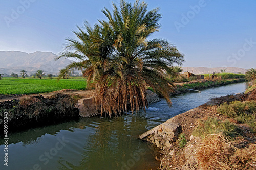 Canal de irrigação no Vale do Rio Nilo. Luxor. Egito.