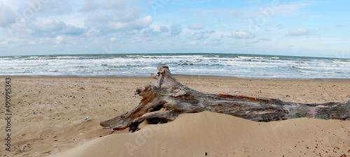 Coast of the Black Sea near Anapa during a storm in spring 