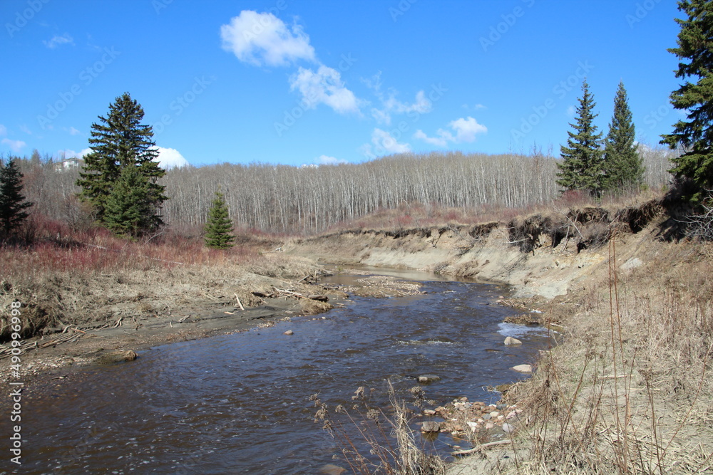 Spring On The Water