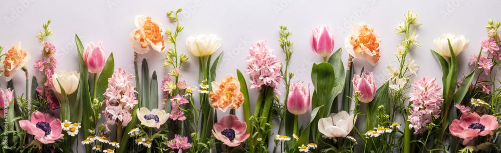 Spring flowers on pastel colored background